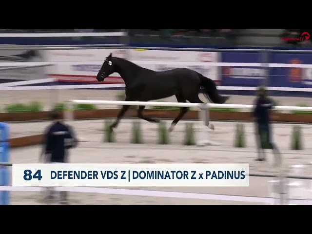 The half-brother of the mother is the KWPN CSI 1.40m approved stallion Defender VDS.