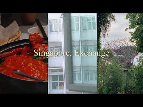 First week in Singapore exchange student vlog orientation