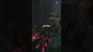 Download lagu Poove kadhal pookum poove💓 |WhatsApp status| #lyrics #music#tamilsong #lovesong #itunes #soundcloud mp3