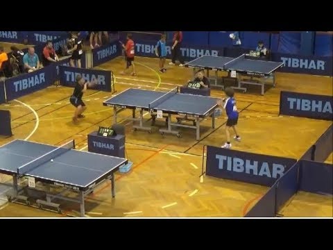 VESALAINEN Matias - MINOLFI Valentino (Eurominichamps 2017)