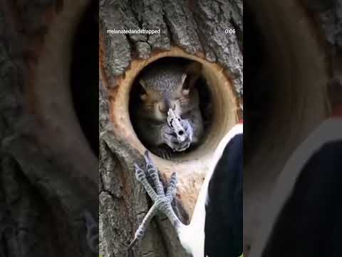 You Picked the Wrong House