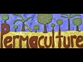 Permaculture Food Forest Potato Experiment