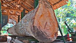 a difficult process with satisfying results, long curved mahogany logs in the sawmill