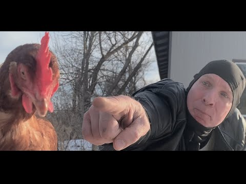 Uncle Pete - Meet My Wanda (Official Music Video)