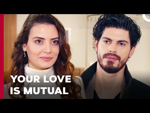 Mirza Won't Admit He's Jealous - Can't Stop Loving You