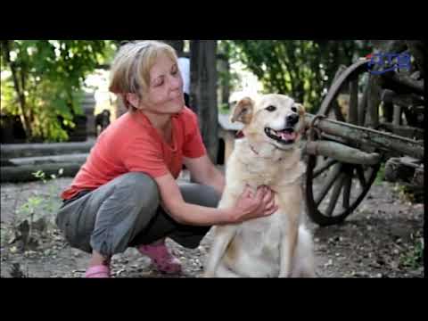 Dunavsko popodne 01. 4 - gosti Prihvatilište za životinje Dobra nada