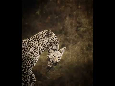 Bak - 07 (Prod. DNK BEATS)