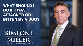 What should I do if I was attacked or bitten by a dog? video thumbnail