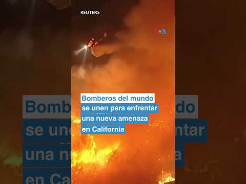 Bomberos mexicanos se unen a la lucha contra los incendios en California: así fue su primer día