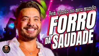 WESLEY SAFADÃO FORRO DA SAUDADE - WESLEY SAFADÃO TOP 10