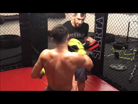 Zu Gast bei den Cage Wolves