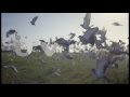 ITV Ident Pigeons Racing Summer 2013 ITV