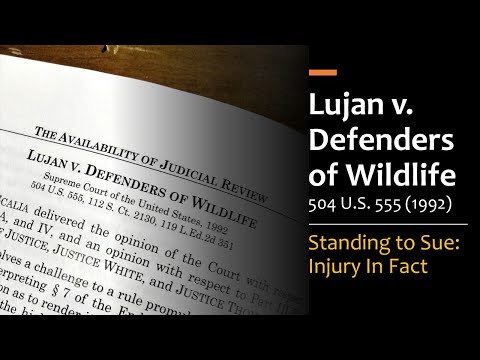 Lujan v. Defenders of Wildlife - Standing to Sue