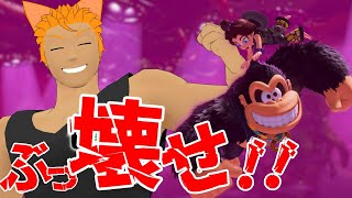 【Switch2】雪ステージでも！！壊して！！飛んで！！暴れるぜ！！！【ドンキーコングバナンザ#3】