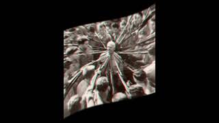 Download lagu Foto Memilukan dan Aneh Perang Dunia II 😱🤐 #seputardunia #world #foto #creepy #history #sejarah mp3