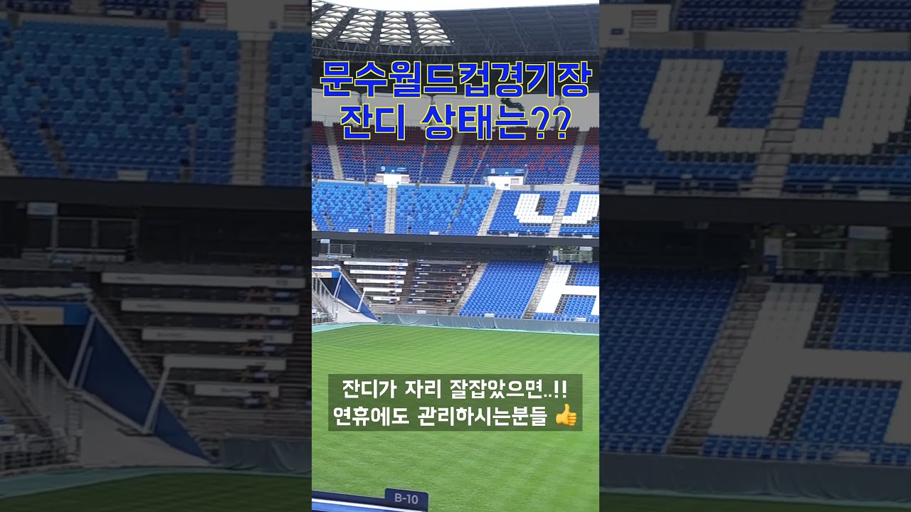 울산문수월드컵 경기장 잔디 상태는?  #울산hd #축구 #울산 #국가대표 #축구경기 #a매치 #대한민국 #한국 #shorts