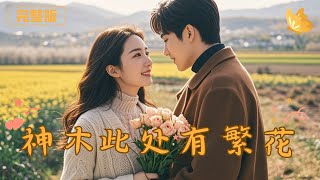 After My Startup Failed, I Returned to My Hometown—But My Boyfriend Stayed by My Side Through It All