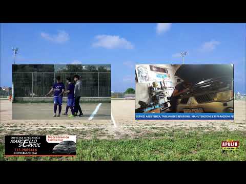 Civitas Conversano vs New Team Cellamare