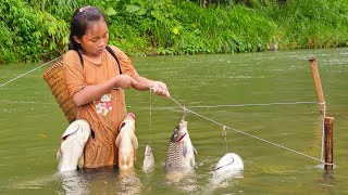 Primitive fishing techniques, Setting a stream fish trap, highland girl caught 20kg of fish to sell