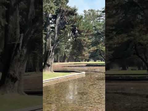 Lincoln en alerta: descubren un misterioso huevo gigante en el parque