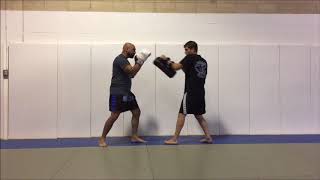 How to Parry and Counter Straight Punches