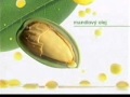 Garnier Zklidnujici Telove Mleko