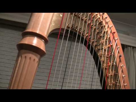 The Pedal Harp - Pedal Buzz