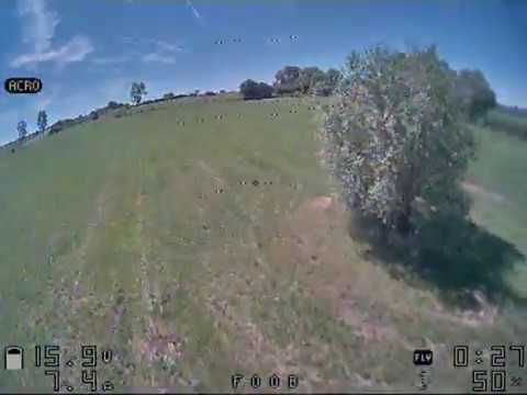 entrainement freestyle du dimanche matin