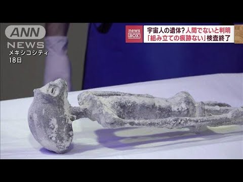 宇宙人の遺体発見?専門家が奇妙に変形した遺体を実証