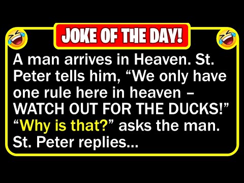 🤣👉 BEST JOKE OF THE DAY! - When the man arrives in Heaven, there are ducks all over... | Funny Jokes