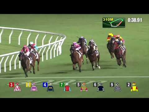 21/9/2022 (31) Pretty Queen Prawn - L Hewitson