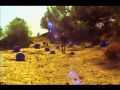 Imaad Wasif - Redeemer 
