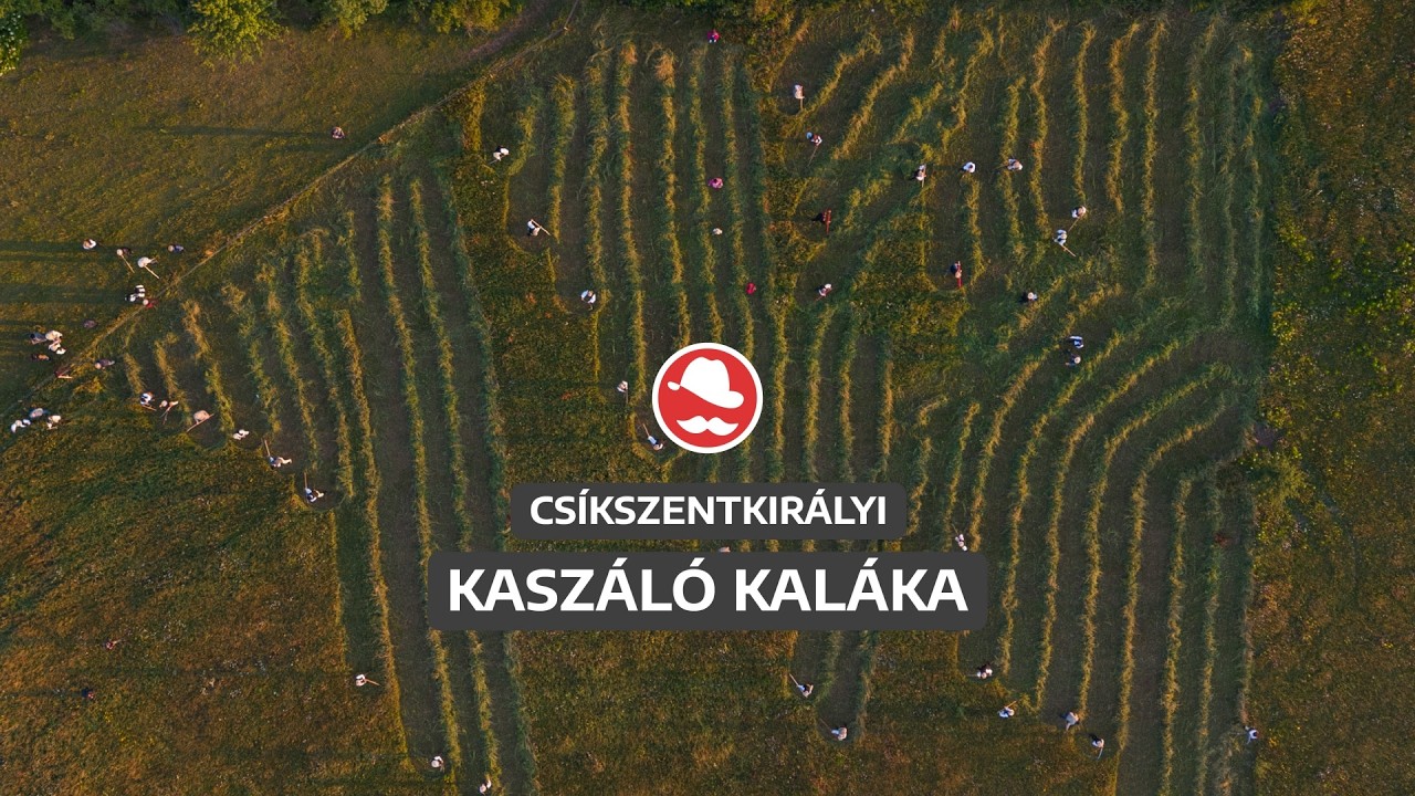 Amit a kasza levágott, a gereblye ne hagyja ott