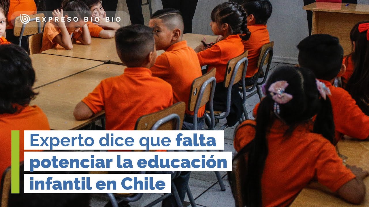 Experto dice que falta potenciar la educación infantil en Chile para tener mejores resultados OCDE