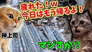 レア度SSRなホワイトすぎる建築業の1日　#猫ミーム　#猫マニ