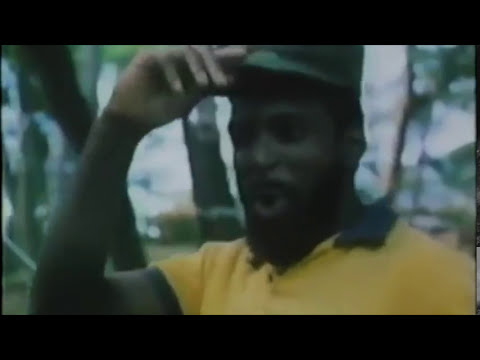 "Ninja Condors" fight scenes 1 (1987) Fight Scene Archives: Richard Phillips martial arts archives