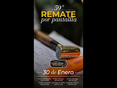 30/01/2026 59º Remate por Pantalla  - Celedon Mediza  / Virtual  - Colonia