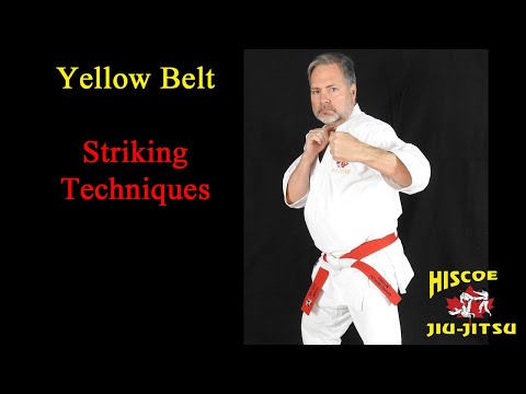 White to Yellow Striking Techniques - Hiscoe Jiu-Jitsu