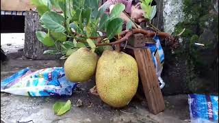 Download lagu 25 Mei 2022 mp3 Download lagu 25 Mei 2022 mp3