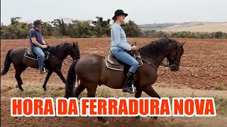 CUIDANDO DOS MEUS CAVALOS l ANA HICKMANN