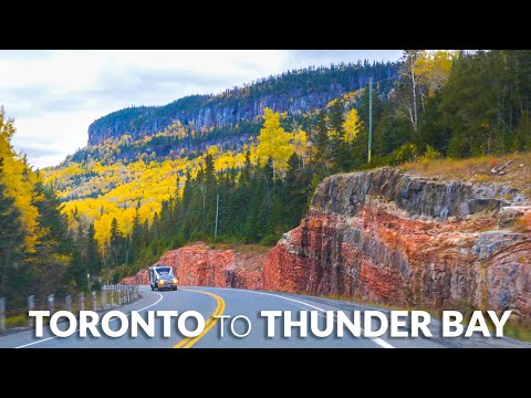 image-What is the main industry in Thunder Bay?