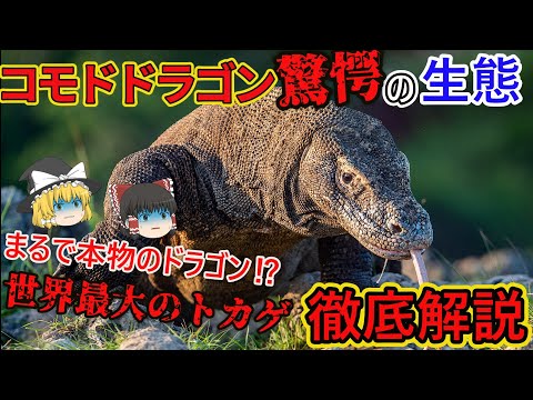 IUCN分類における絶滅の危険性を示す図。