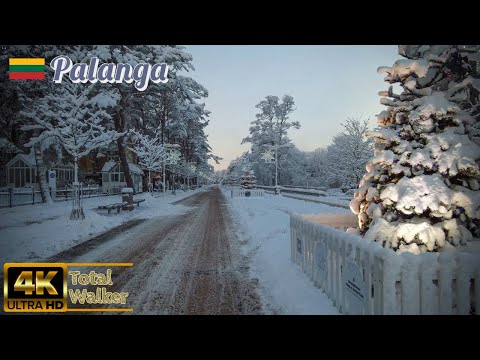 Palanga, Lithuania winter City Walk, Fresh Morning Snow 4k (60fps)