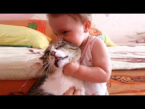 Baby and Cat Fun and Fails 😻 Funny Baby Video