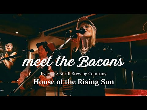 House of The Rising Sun performed live by meet the Bacons