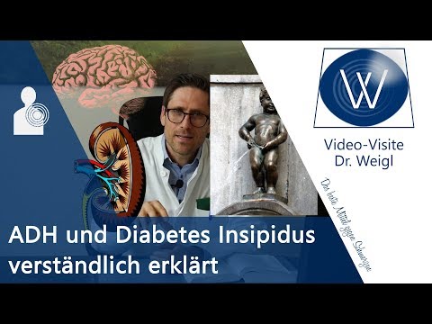 Wenn Sie nicht behandeln, die Katze für Diabetes Propolis für Diabetiker