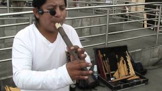 Rikcharic - Vuelo blanco de gaviota