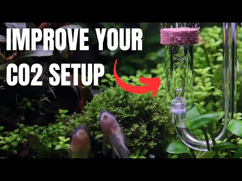 Top 10 Aquarium CO2 MISTAKES MADE!
