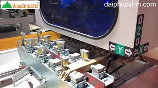 MÁY ĐỤC MỘNG ÂM DƯƠNG CNC 24 trục đa năng