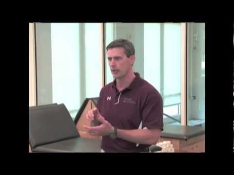 Mind of the Athlete - Psychology of Health (Sample)